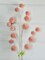 Elegant Blooms: 28-Inch Pink Snowball Allium Spray - Graceful Floral Accent for Your Décor-85550PK